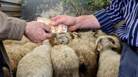 Kurban Bayramı ne zaman, hangi gün, bayrama kaç gün kaldı? 2022 Kurban Bayram tatili kaç gün, 9 gün mü?