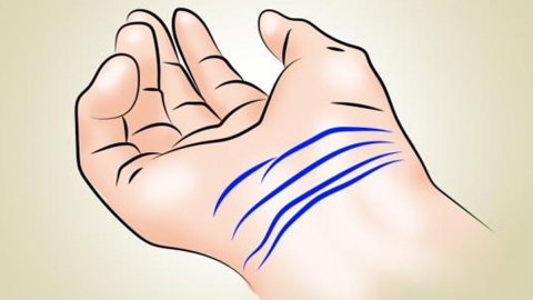 Bileğinizdeki çizgiler bakın ne anlama geliyor! 