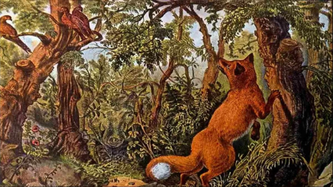 IQ seviyesini ölçen optik illüzyon testi! 