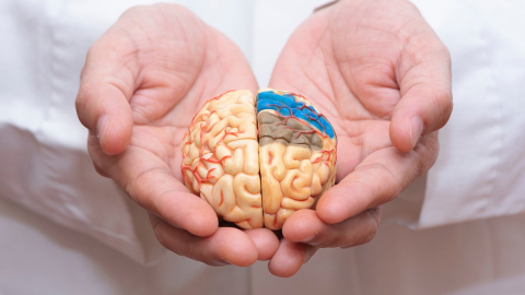 Bu yiyecekleri diyetten çıkararak bunama riskini azaltabiliriz!