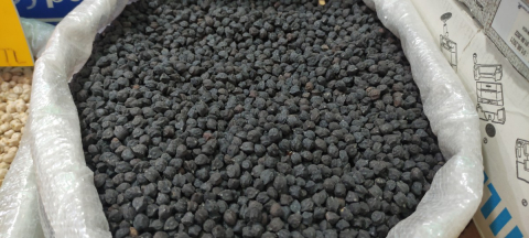 Yetiştirdiği siyah nohut yoğun ilgi görüyor