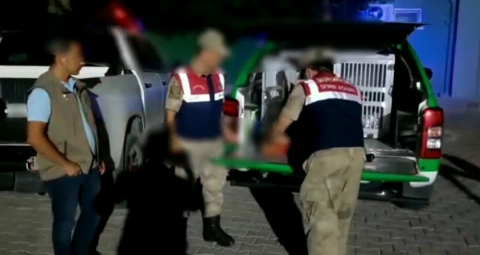 Hatay'da böcek toplayan kişiye 109 bin lira para cezası