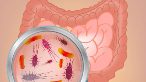 Probiyotiklerden faydalanın bu kışı rahat geçirin! 