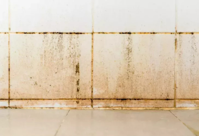 Fayans aralarını tertemiz yapmak için bunları deneyin