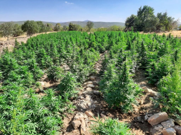 Eren Abluka’da 62 ayrı noktaya operasyon