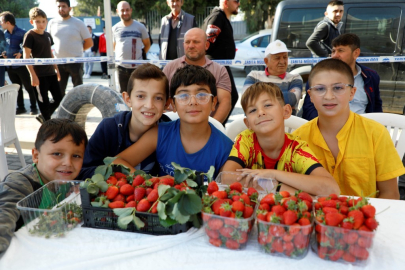 'Kırmızı Elmas' hasadı başladı