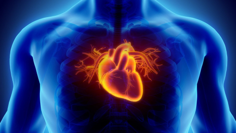 Kalp sağlığını tehlikeye atan gıdalar!