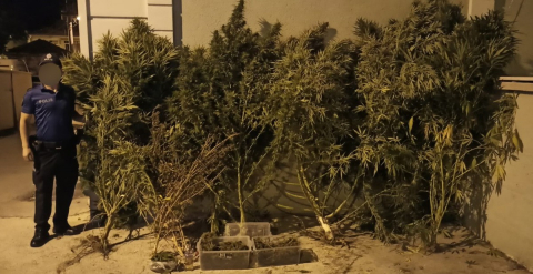 Bursa’da uyuşturucu operasyonu