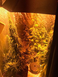 Evini imalathaneye çevirdi