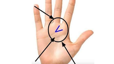 Avucunun içinde eğer bu işaret varsa...