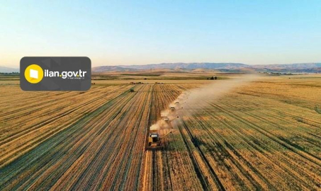 İcradan satılık tarla 