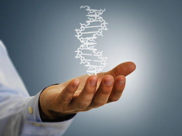 Kimi davranışlar genetik olarak aktarılıyor