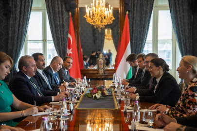 TBMM Başkanı Şentop, Macaristan Cumhurbaşkanı Novak ile görüştü