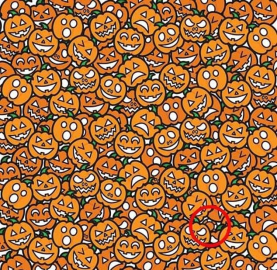 Gizlenmiş kadın yüzünü bulabilir misiniz?