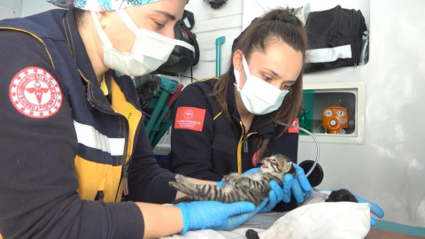 İtfaiye ve 112 ekipleri 2 canı böyle hayata döndürdü 