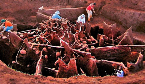 Karınca yuvasının içi görüntülendi otoban bile var! 
