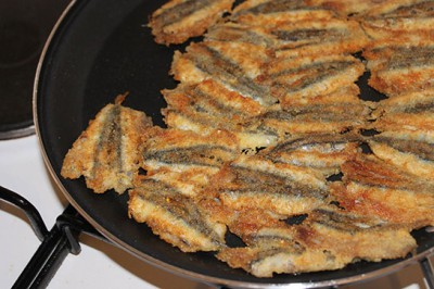 Balık Severler Dikkat!