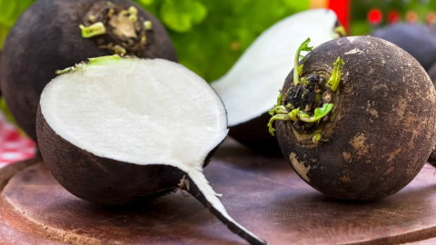 Turpun içine bunu koyun mucizeye tanık olun! 