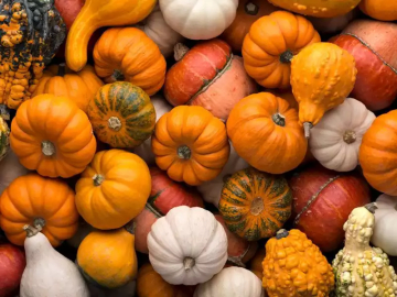 Bal kabağı faydaları nelerdir? Bal kabağı hangi hastalıklara ve neye iyi gelir?