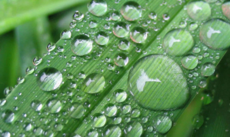 Cemreler ne zaman düşüyor? İlk cemre havaya hangi tarihte düşecek? İşte 2023 cemre takvimi