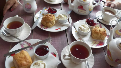 Alice harikalar diyarında efsanesi gerçek çıktı!