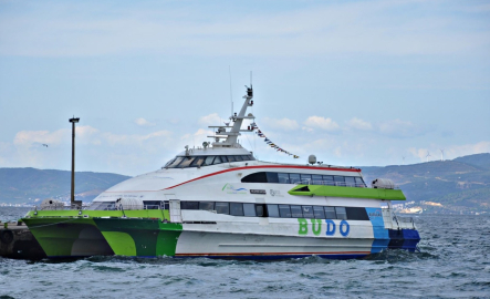 BUDO'nun bazı seferleri iptal edildi