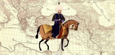 İri karıncayla kafasına dikiş attılar