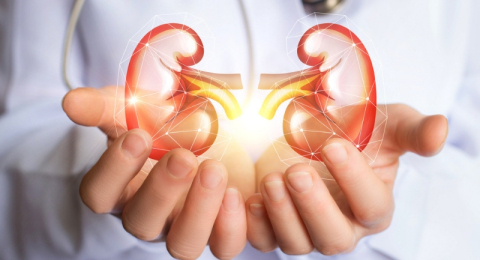 Böbrek hastaları oruç tutarken dikkat!