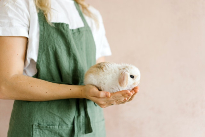 Hayvan deneyi yapmayan markaları bulmanın kolay yolu