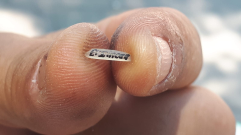 Pirinç tanesine yazı yazarak geçiniyor