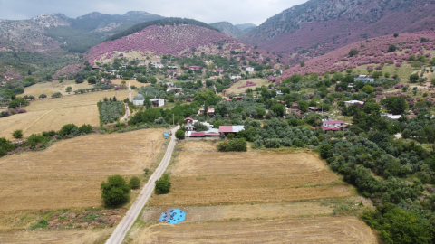 Doğa çiçeklerle renklendi