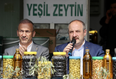 Gemlik zeytini Avrupa yolcusu