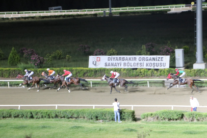 Koşunun kazananı Koç Kaçığı oldu