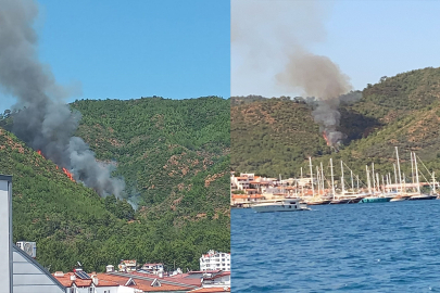 Marmaris ormanları küle döndü