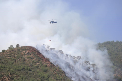 Orman yangını şüphelisi serbest bırakıldı