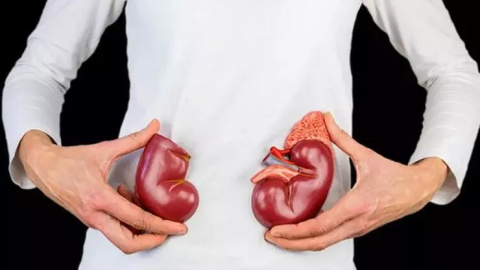 Borçtan dolayı satılık böbrek!