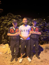 Ormanı yakan şahıs tutuklandı