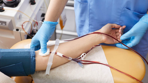 Ozon gençleştiriyor