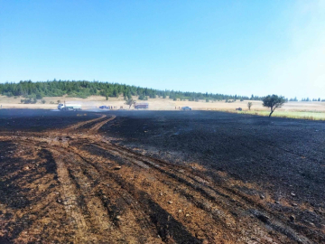 Çay keyfinin sonu kötü bitti