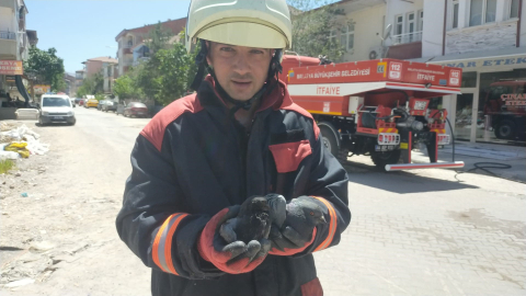 Dumandan etkilenen güvercinleri itfaiye kurtardı