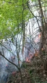 Bursa Uludağ'da yangın!