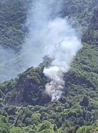 Bursa'da ormanlık alanda yangın!