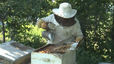 Bal üretiminde dünya ikincisiyiz