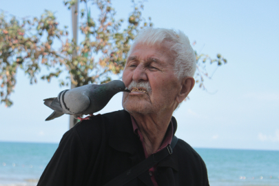 Güvercinleri ağzıyla besliyor