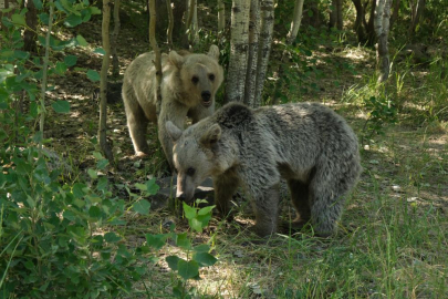 Muhabir zor kurtuldu