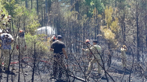 Muğla yangını kontrol altında
