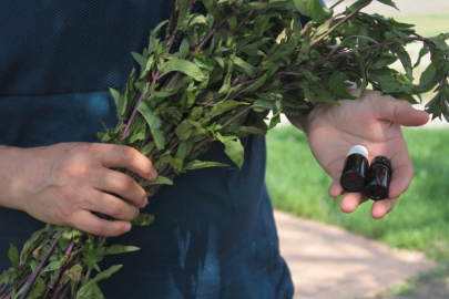 Kilosu 35 bin TL! 25 hastalığa şifa...