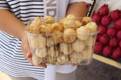 Altın çileğin 250 gramı 50 TL