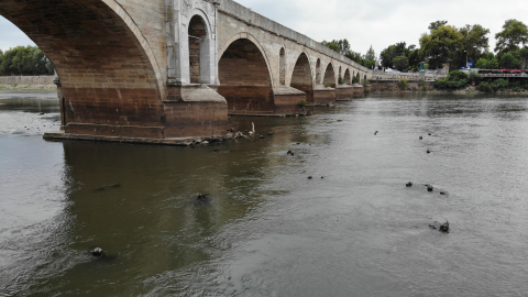 Meriç Nehri'nde kuraklık alarm veriyor