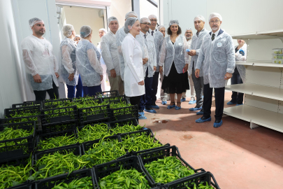 Ekolojik tarım Nilüfer'de yükseliyor